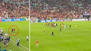 Fans are divided after Cristiano Ronaldo filmed leaving the pitch as Portugal players celebrate Switzerland win with fans