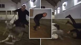 Zinedine Zidane fell off a horse and still managed to look elegant