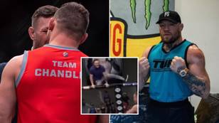 Conor McGregor 'jumped in the cage and shoved Michael Chandler' during TUF filming