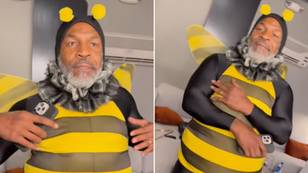 Mike Tyson Dresses Up As A Bee For Jimmy Kimmel's TV Show
