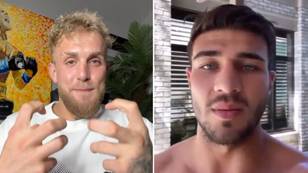 Jake Paul Could Fight Tommy Fury After All, One Final Offer Has Been Made For August 27