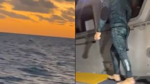 Miraculous moment family spot diver son clinging to raft after losing boat and getting lost at sea