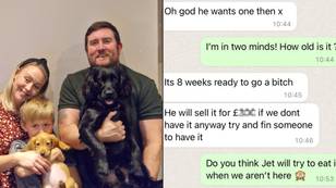 Cheeky lad tricks dad into buying puppy by impersonating mum with 'love' and 'hun' texts