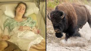 British teen has been left partially paralysed following a bison attack