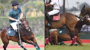 Prince Harry Falls Off Horse During Polo Match