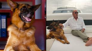 New Netflix doc about dog who inherited $400 million is being called a ‘f*cking trip’