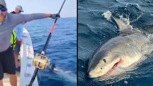 Family on holiday left stunned after fishing trip sees them reel in a great white shark