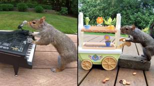 Woman sets up hilarious scenes in garden to make it look like squirrels are hard at work