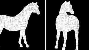 Internet Divided Over Baffling Horse Illusion