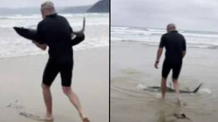 Surfer praised for carrying stranded shark back to sea with his bare hands