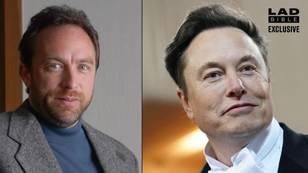 Wikipedia Founder Jimmy Wales Says Twitter 'Could Be Dead In Five Years' Under Elon Musk's Leadership