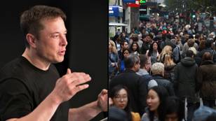 Elon Musk Reckons Earth Can Sustain A Human Population Far Higher Than The Current 8 Billion