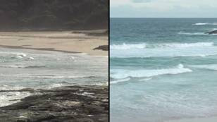 Six-year-old girl tragically watches both her parents drown as surfers desperately try to save them