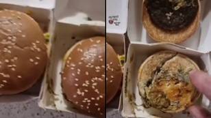 Man can't believe how similar three-month-old McDonald's burger looks to fresh one