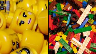 Disturbing Lego theory is making people rethink how their houses are built