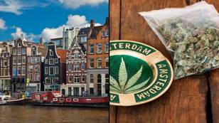 Amsterdam considering stopping selling weed at weekends in bid to slow down 'nuisance tourism'