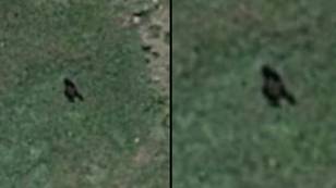 Conspiracy theorists believe they've spotted Bigfoot as huge creature is seen on Google Earth