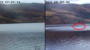 New footage claims Loch Ness Monster 'not alone' with two creatures in water