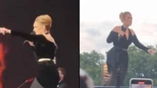 Adele Stops Mid-Performance After Spotting Distressed Fan In Crowd At Hyde Park Gig