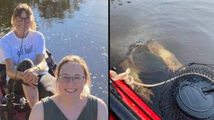 Creature with 'bear-like' claws emerges from depths and 'freaks out' Kayakers