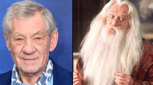 Ian McKellen turned down role of Dumbledore because previous actor ‘didn’t like him’