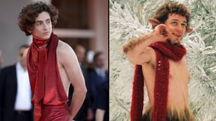 People can't unsee Timothée Chalamet as Mr Tumnus after red carpet look