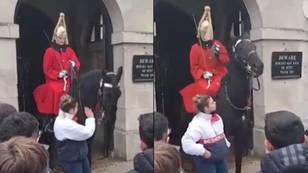 King's Guard screams at tourist after she repeatedly slaps horse