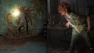 Scientists explain how fungus from The Last of Us could pose an actual threat