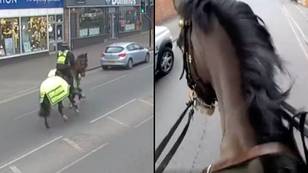Moment police officers on horses go into pursuit chasing driver on mobile phone
