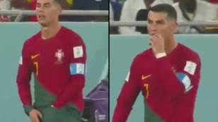 Football fans spot Cristiano Ronaldo eat something from his shorts during World Cup match