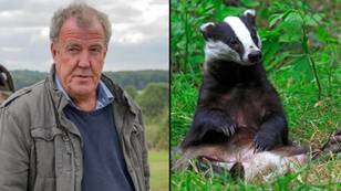 Charity slams Jeremy Clarkson for 'demonising badgers'