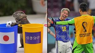 Otter accurately predicted Japan would beat Germany at their World Cup opener in Qatar