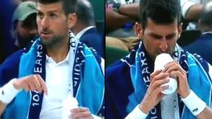 Tennis Fans Are Questioning What Was In Novak Djokovic's Water Bottle During Wimbledon Match