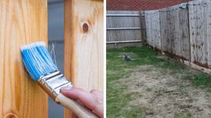 Woman furious after neighbour stained fence without permission and 'completely ruined it'