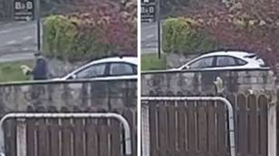 CCTV catches dog being dumped on side of road as owner speeds off