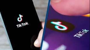 Company offers $100 an hour to watch TikTok