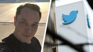 Elon Musk Confirms Twitter Deal Is 'On Hold'