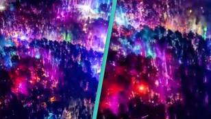 Incredible footage of forest transformed with LEDs for music festival divides viewers