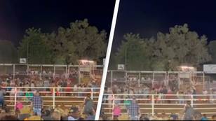 Horror as bull runs into crowd halfway through rodeo show