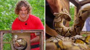 Viewers shocked as former rugby player is bitten by a snake on 'I'm A Celebrity'