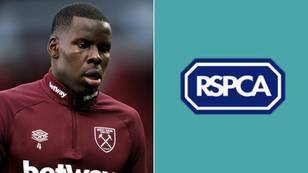 RSPCA Confirm They Have Taken Kurt Zouma's Two Cats Into Their Care