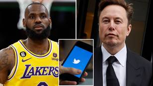 Elon Musk reveals he is 'personally paying' for only THREE Twitter Blue memberships - one of them is for LeBron James