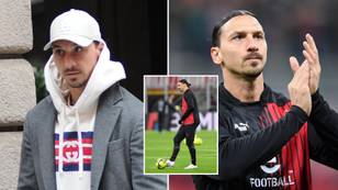 Zlatan Ibrahimovic is set to leave AC Milan in the summer