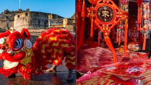 What is the 2023 Chinese new year animal and what does it mean for you?