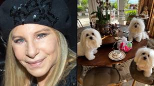 Barbara Streisand gives her cloned dogs massive birthday party