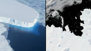 Doomsday Glacier In Antarctica Melting At Fastest Rate In 5,500 Years