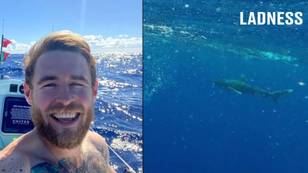 Man Alone At Sea During Record Breaking Charity Row Came Face To Face With Shark In 'Jaws' Moment