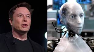 Elon Musk signs letter to stop AI development immediately over risk to humanity