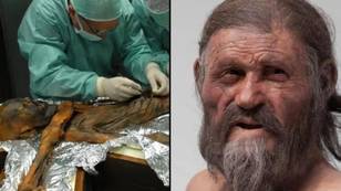 ‘Otzi the iceman’ had ‘horrible tasting’ meal before he was murdered 5,300 years ago