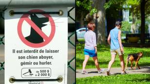 Pet owners could cop a $2,000 fine if their pooch barks at a dog park
